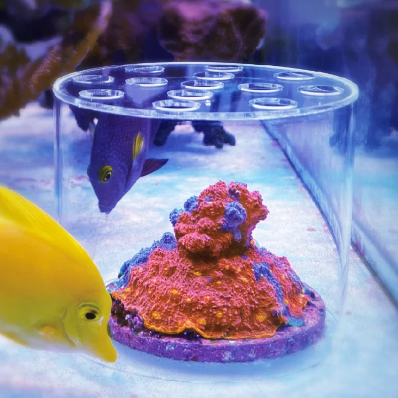 Seaweed Snack - Vastocean Aquarium Arcylic Coral Feeder Hood