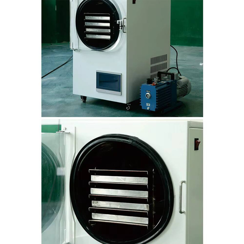 Dried Fruit - Multi‑Functional Household Vacuum Freeze Dryer Lyophilizer