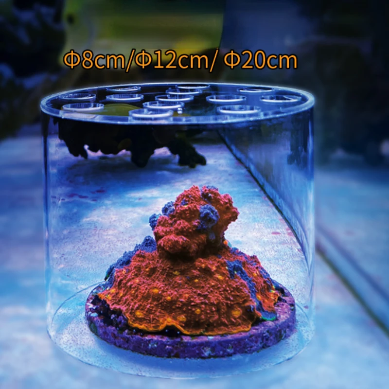 Vastocean Aquarium Arcylic Cor - Seaweed Snack recension och pris
