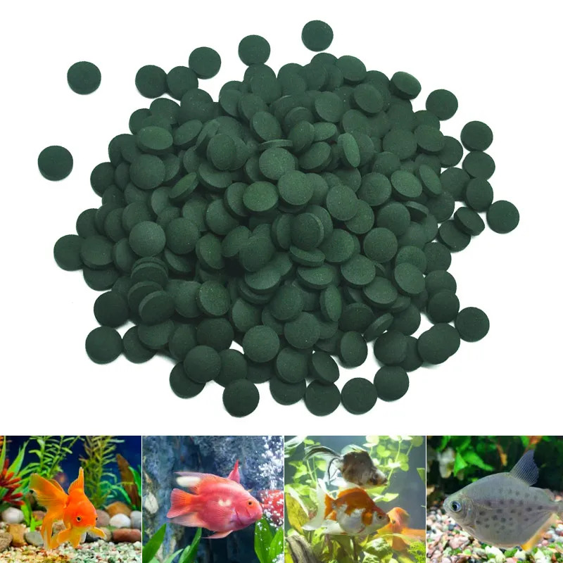 50-300Pcs High Purity Spirulin - Seaweed Snack recension och pris